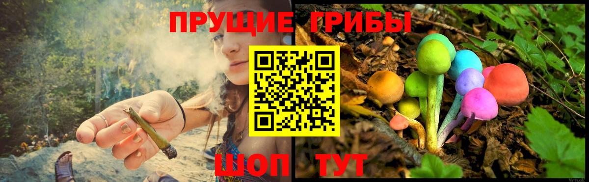 Усинск  Псилоцибиновые грибы прущие грибы  Вход с VPN 